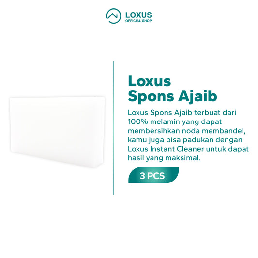 Loxus Spons Ajaib Pembersih Semua Noda Kotoran