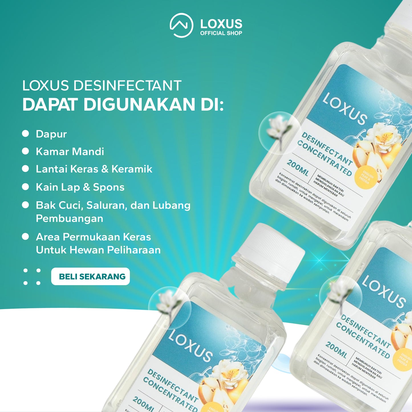 Loxus Desinfectant Consentrated Paket Lengkap