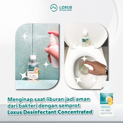 Loxus Travel Buddy Pack - Loxus Instant Rapi, Loxus Instant Cleaner dan Loxus Desinfectant 100ml