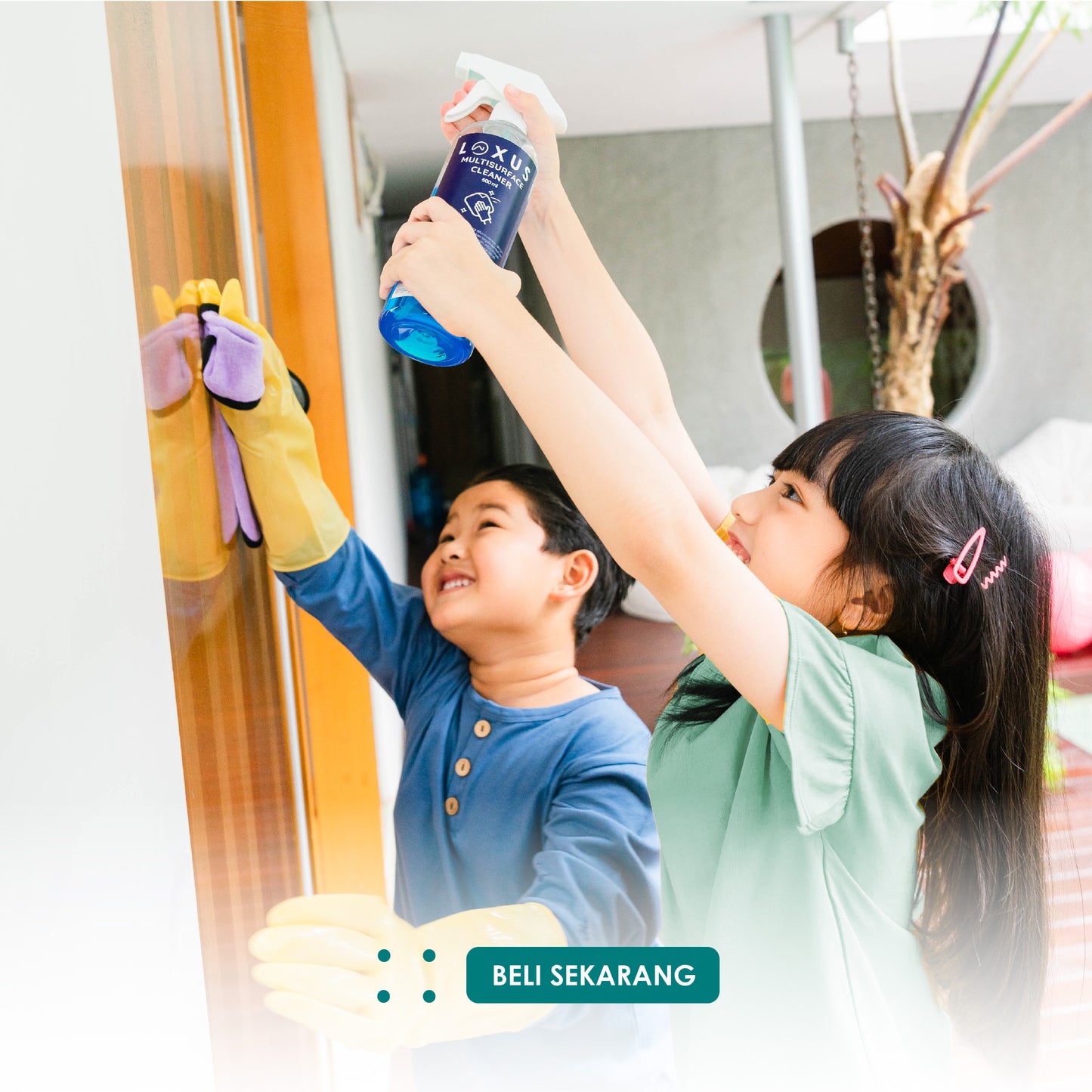 Loxus Multisurface Cleaner Pembersih Kaca Meja Dapur Dari Minyak Debu