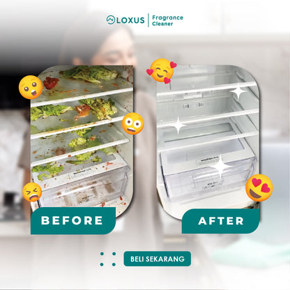 Loxus Food Storage Cleaner Pembersih Kulkas, Oven dan Microwave dari Kuman dan Bakteri Penyebab Bau Tidak Sedap [Food Grade]
