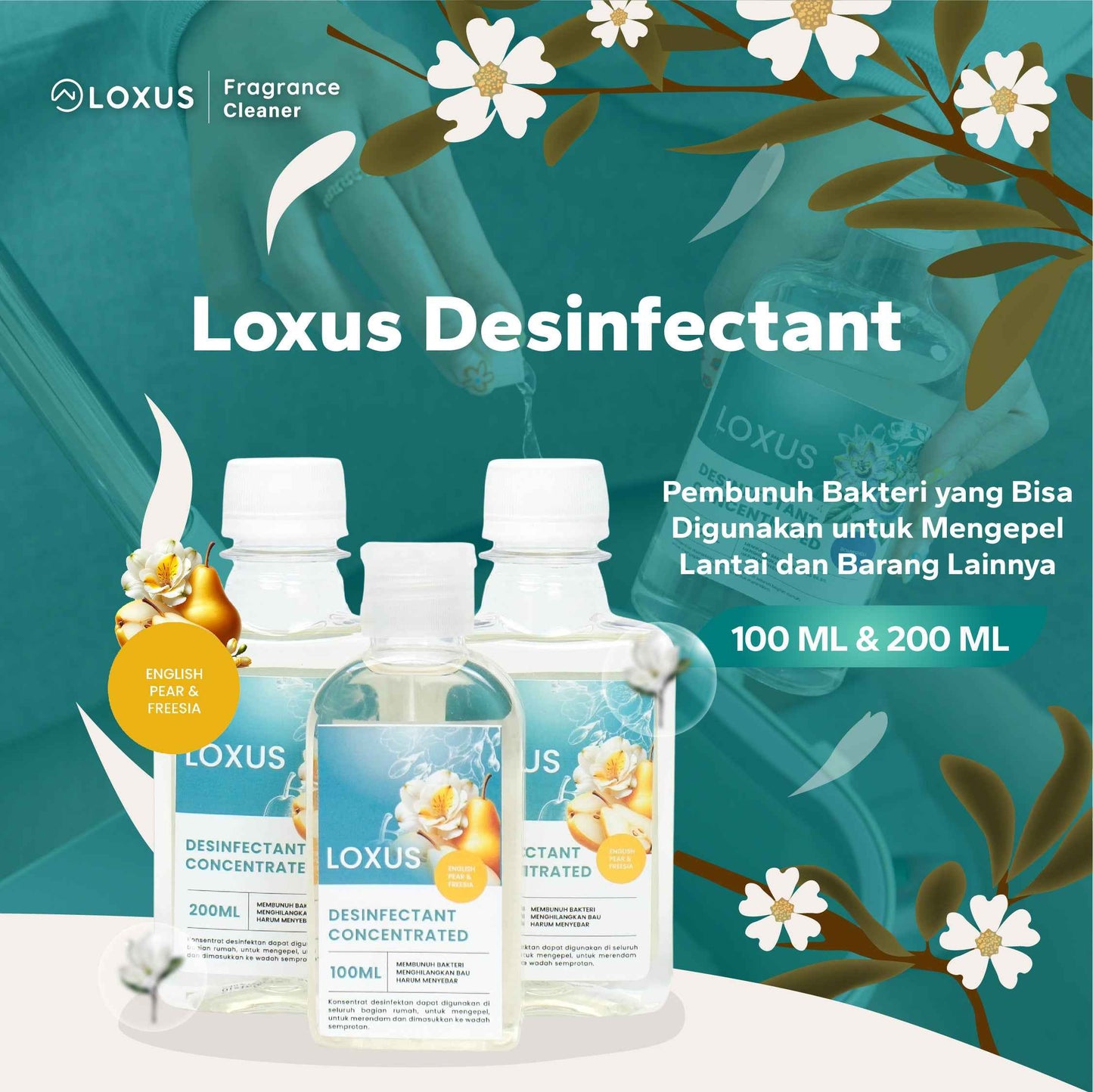 Loxus Concentrated Desinfectant