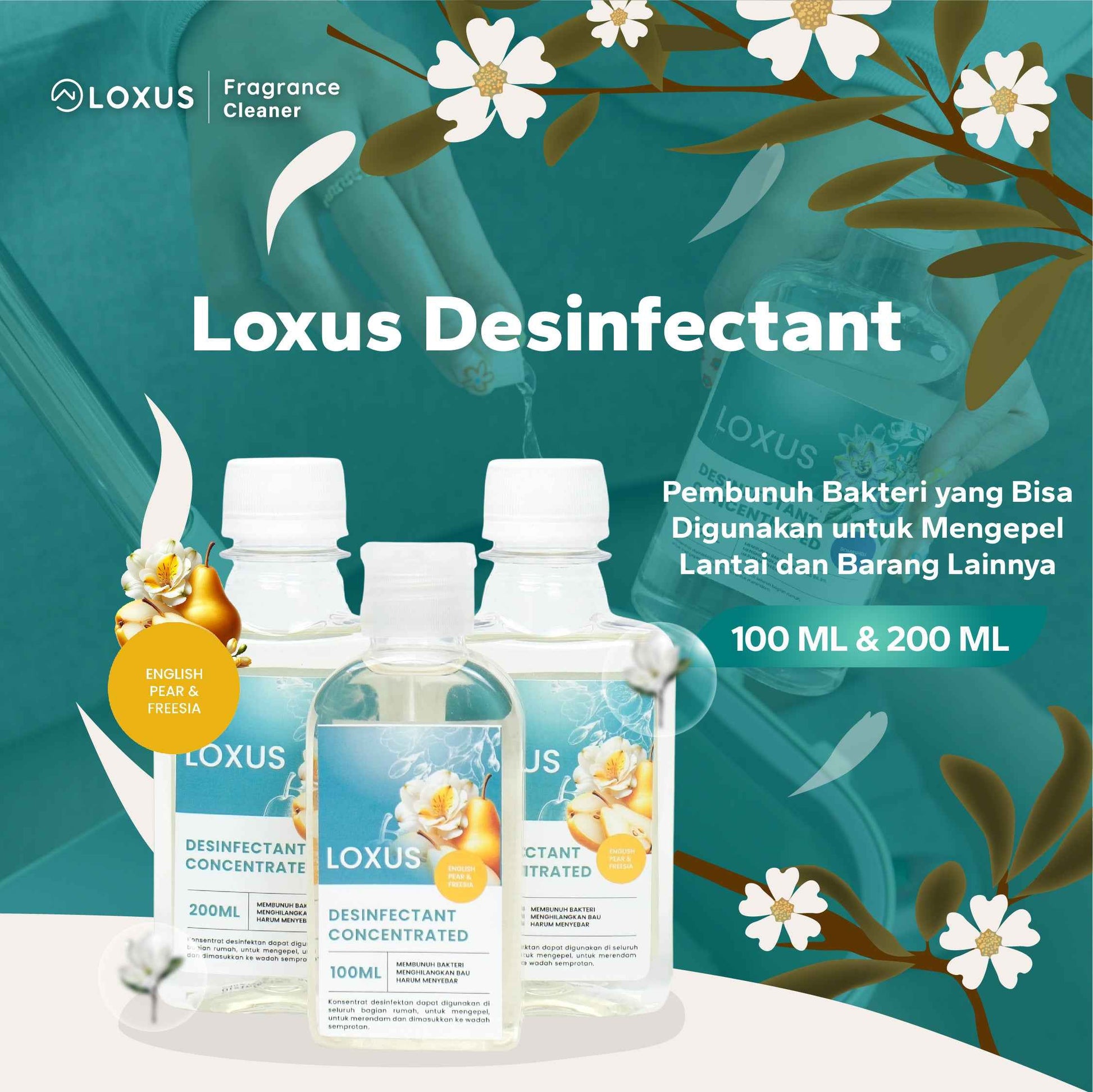 Loxus Concentrated Desinfectant
