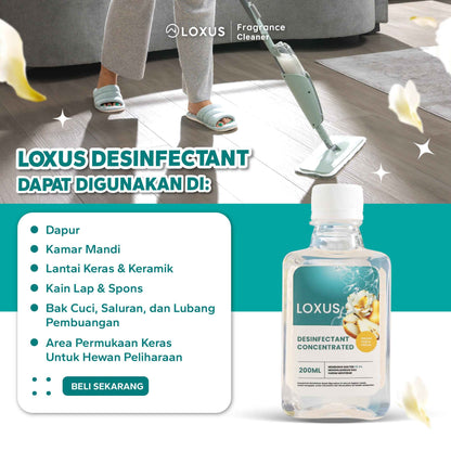 Loxus Concentrated Desinfectant