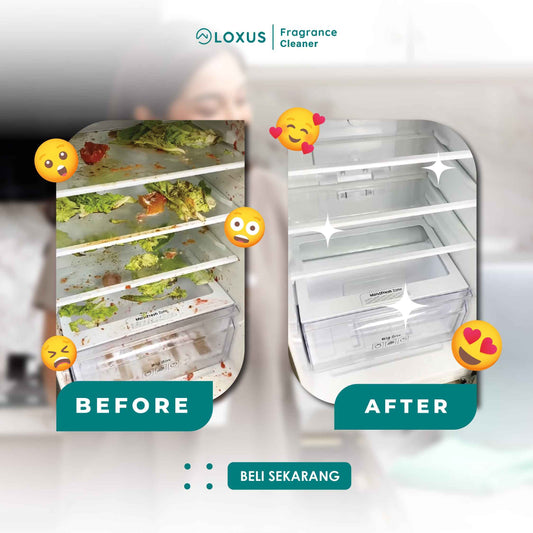 Loxus Food Storage Cleaner