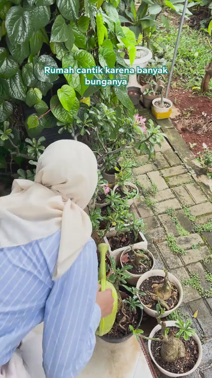 Loxus Hardsurface Cleaner