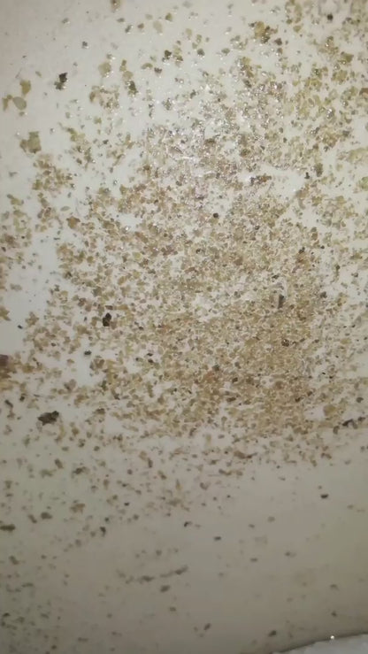 Loxus Washing Machine Cleaner