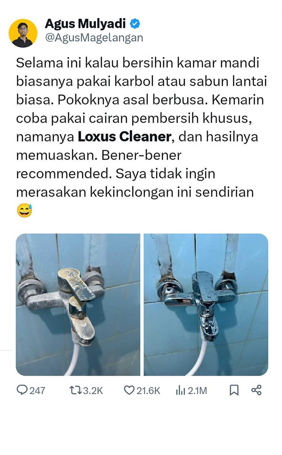 LP - LC - Testimoni Twitter 1 (1)